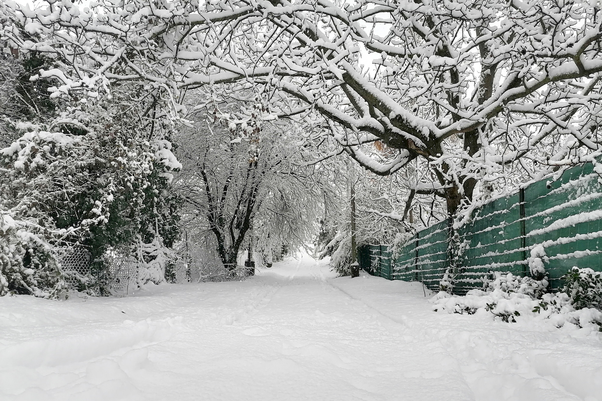 Reggelre tetemes mennyiségű hó borította be Budapest hegyvidéki tájait