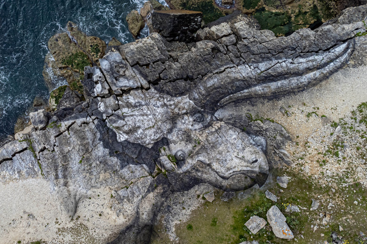 Fotó: NorthFoto Az utolsó áldozatok még mindig láthatók a Tyrannosaurus gyomrában