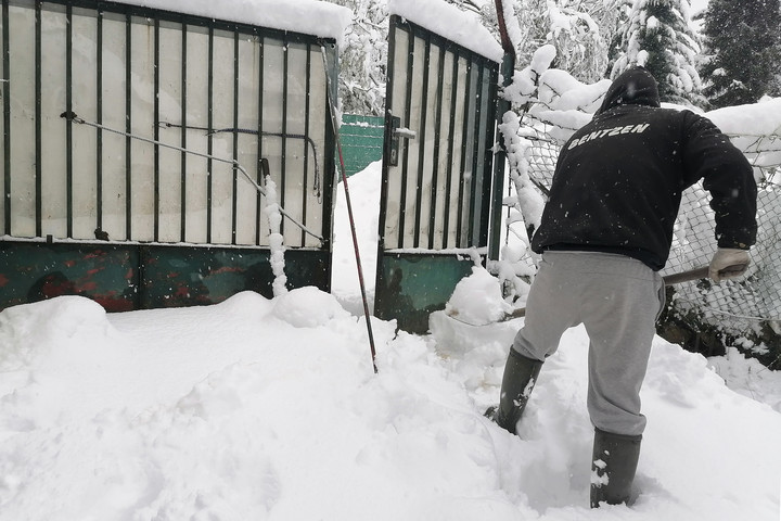 Hólapátolás, mint alakformálás?