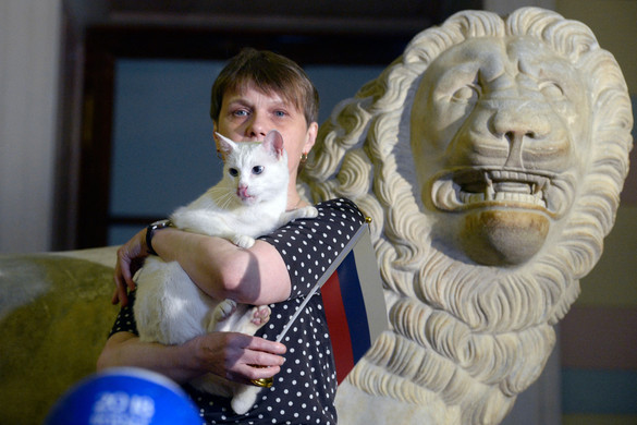 Két hónap után sikerült befogni Pását, az Ermitázs Múzeumban kóborló macskát