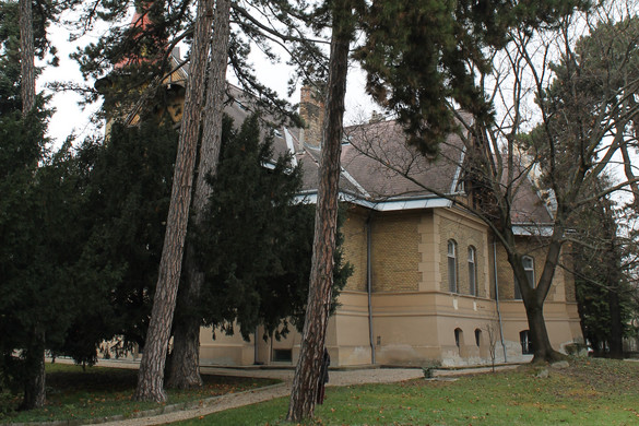 Sopron, Haller-villa, bádogsárkány