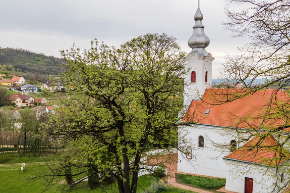 Megváltoztatták az egyik magyar megyeszékhely nevét