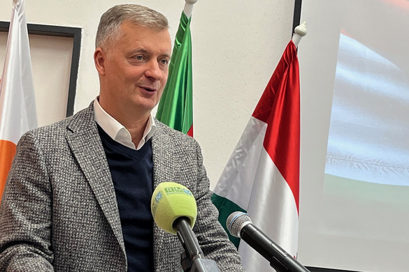 „A kormány segítsen azoknak, akik nem kaptak szavazólapot!”