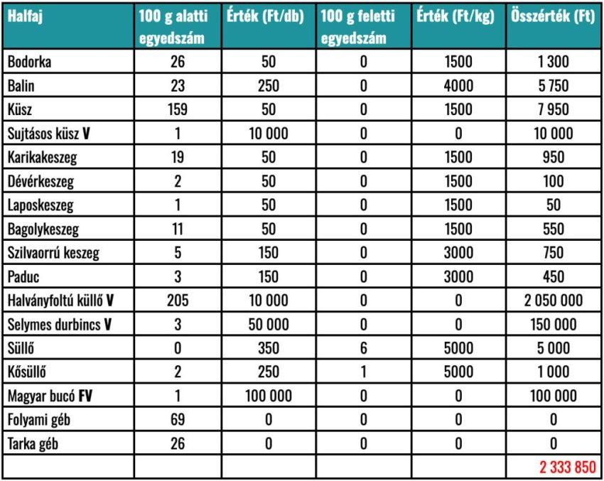 A halak darabszáma és forintban megállapított értékük