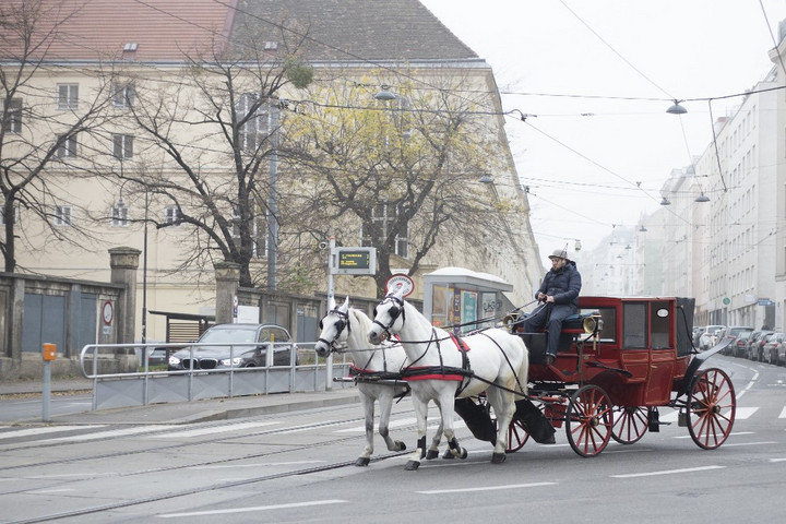 Műanyagra cserélik a károkozó patkókat