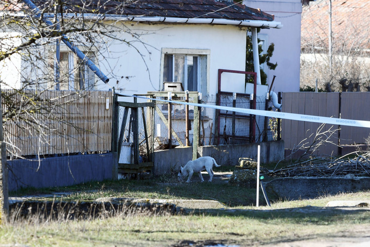Őrizetben a tószegi kettős gyilkosság gyanúsítottja