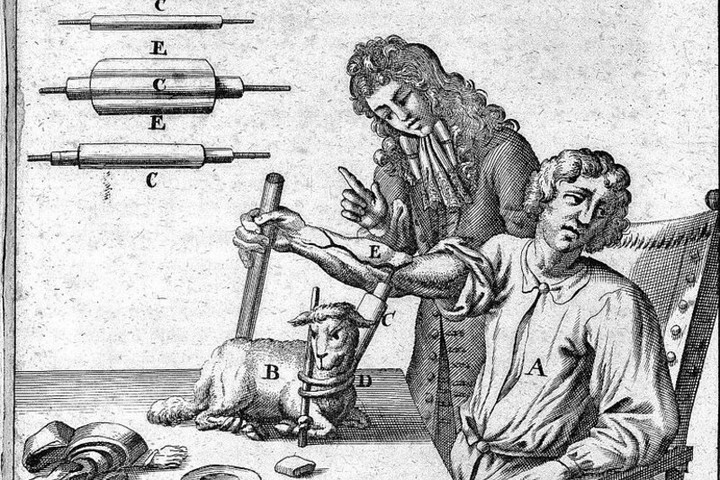 Fotó: wikimedia.org Birkák és borjak vérét öntötte a betegek ereibe egy orvos