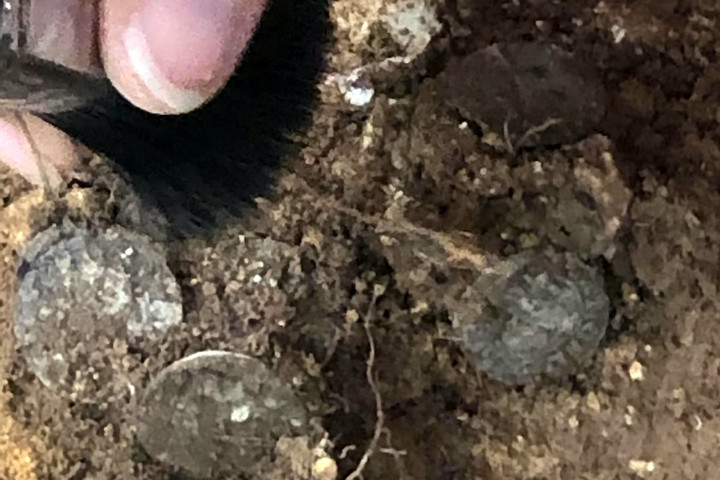 Fotó: NorthFoto Ritka kincseket találtak egy ősi város romjai közt