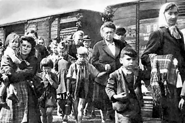 Fotó: Wikipedia/Sudetendeutsche Stiftung Haszonlesés is közrejátszott a magyarországi németek háború utáni kitelepítésében