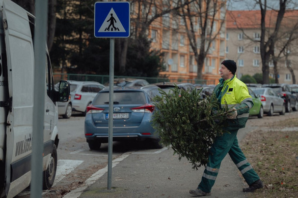 Irgalmatlan eltérések vannak a szabad állásajánlatokban