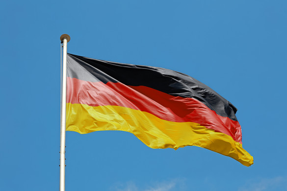 Német író: Az AFD betiltása visszafelé sülne el