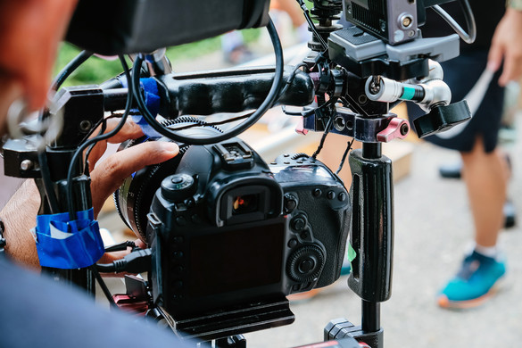 Tapasztalja meg a színeket, ahogy az állatok látják őket + VIDEÓ