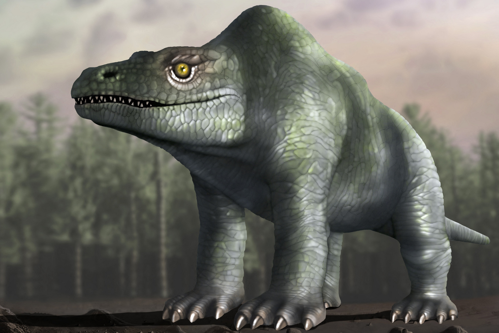 Ez az illusztráció úgy mutatja a megalosaurust, ahogyan azt eredetileg elképzelték, még a XIX. században
