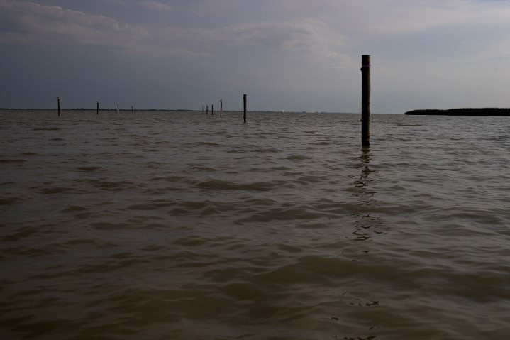 Fotó: AFP/APA/Alex Halada Bővítik a Fertő-tó Nemzeti Parkot