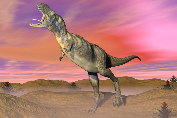 Fotó: NorthFoto Már a dinoszauruszoknak is volt ízületi gyulladása 90 millió évvel ezelőtt
