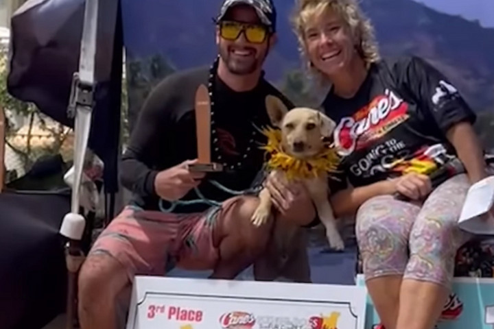 Fotó: Instagram/mylothesurferboy Ez a kutyus a hullámok megszállotja + VIDEÓ