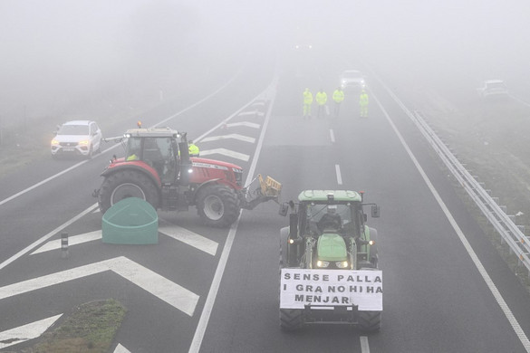 Veszélybe sodorhatja az európai agrárpolitika az élelmiszer-ellátást