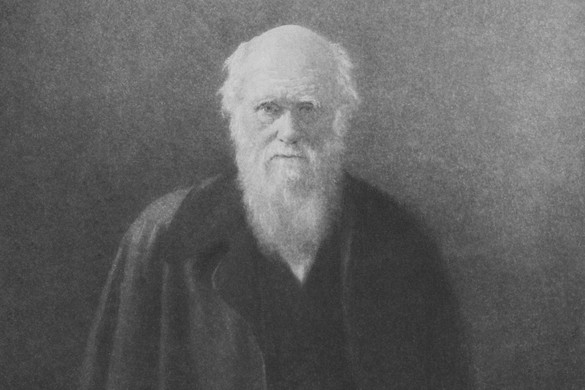 Furcsa érvelést használt Charles Darwin a házasság mellett