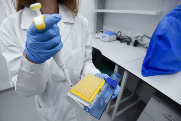 Ígéretes rákterápiás módszert teszteltek orosz tudósok