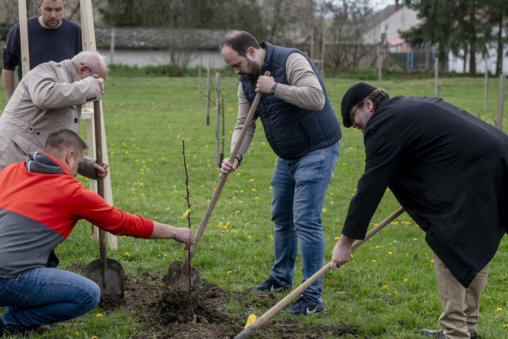 Fotó: MTI/Komka Péter Már többszázezer fát ültettek országszerte