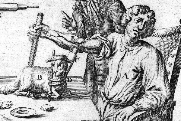 Fotó: Wikimedia Commons A fajok közötti szervátültetések furcsa és megdöbbentő története