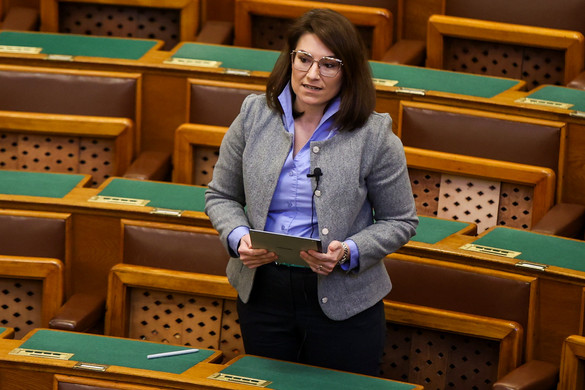 Bizottság vizsgálja, hogy a magyar balliberális képviselők milyen munkát végeznek Brüsszelben