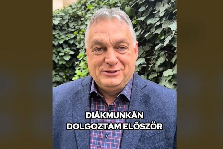 Orbán Viktor hagymát válogatott, Deutsch Tamás képesítés nélkül nevelt + Videó