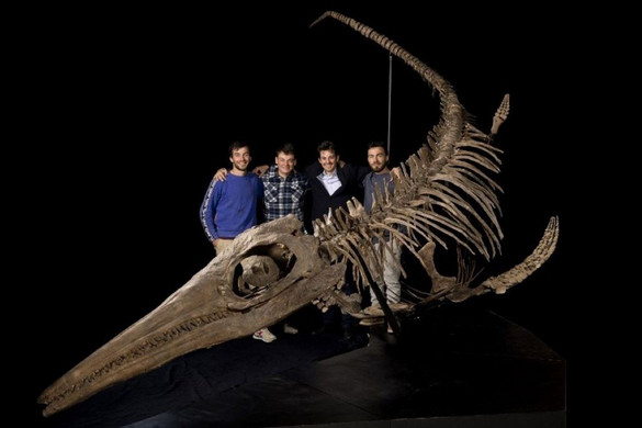 A Loch Ness-i szörnynél is nagyobb hüllőt találtak Anglia partjainál