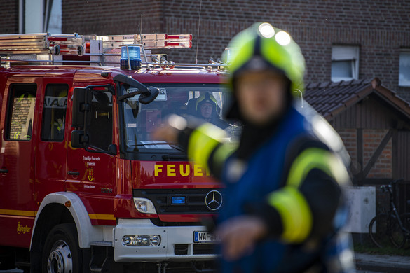 Németországban egy sertéstelepen több ezer állat pusztult el az ott keletkezett tűzben