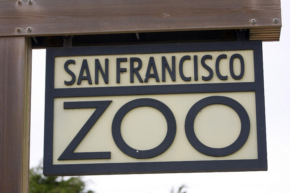 A San Franciscó-i Amerika legveszélyesebb állatkertje + VIDEÓ