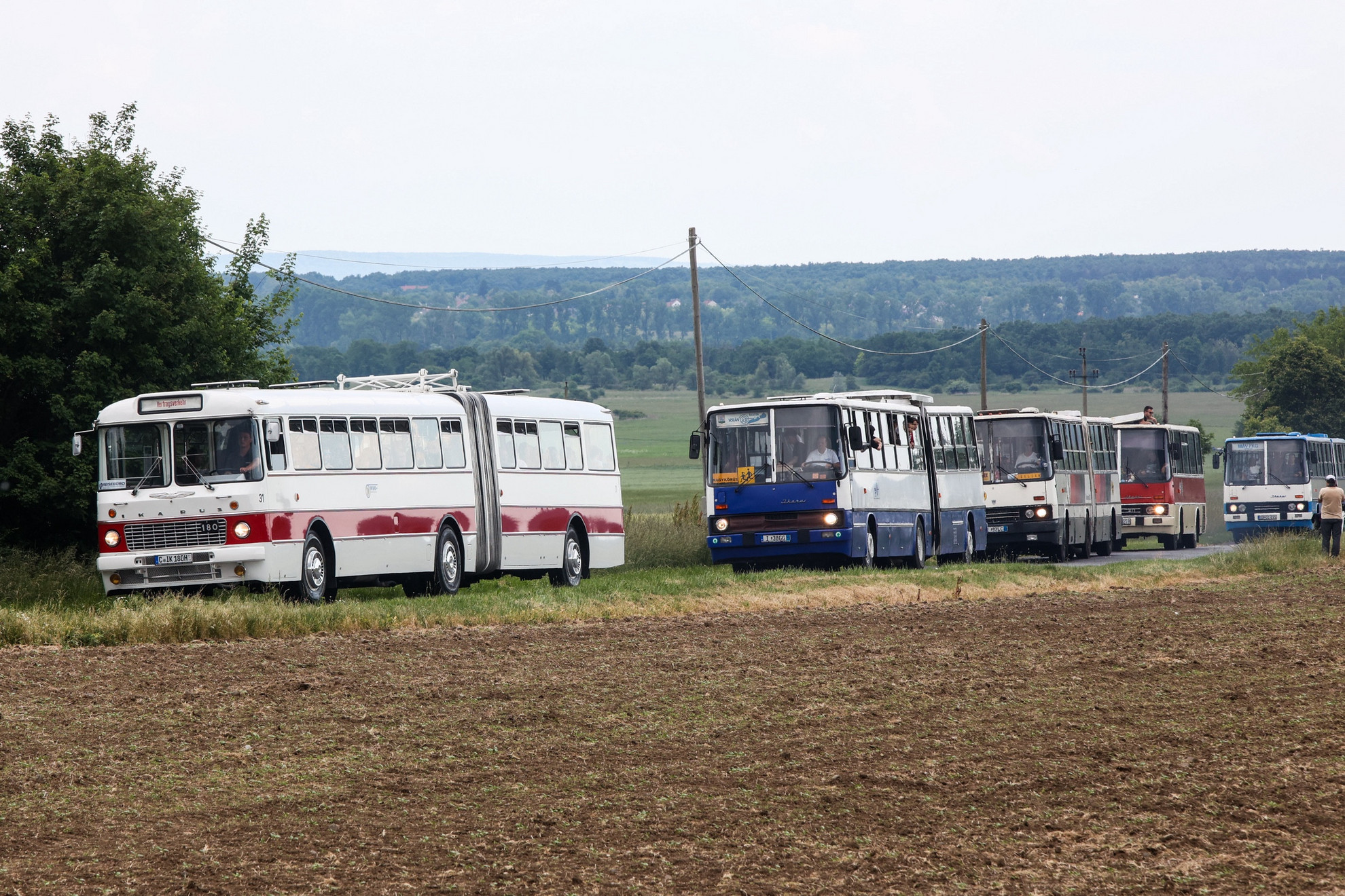 Nagyváradtól Chemnitzig hosszú, tömött sorokban érkeztek az Ikarus buszok retró és a mai ultramodern járatai a fesztiválra