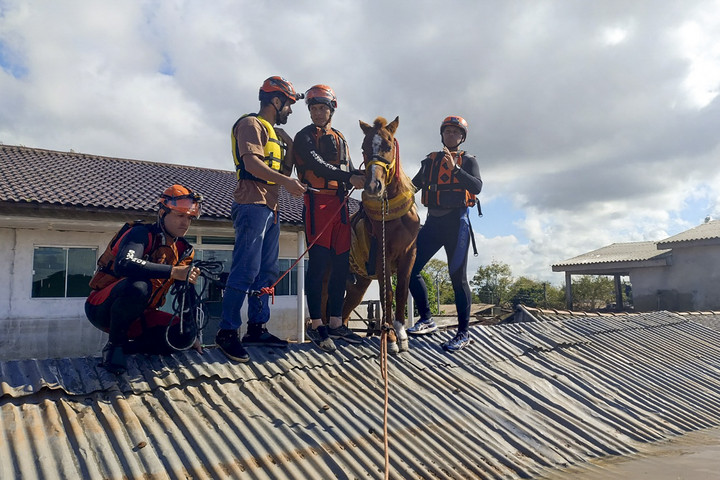Fotó: AFP/Rio Grande de Sul Firefighters Department/Handout A brutális áradások miatt a háztetőn ragadt egy ló + VIDEÓ