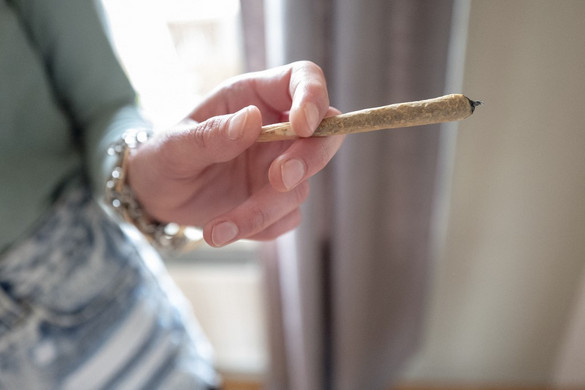 Kutatás cáfolja Zelenszkíj drogpártolását
