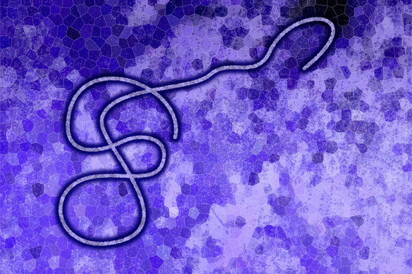 Ebolaszerű vírust hoztak létre egy kínai laborban