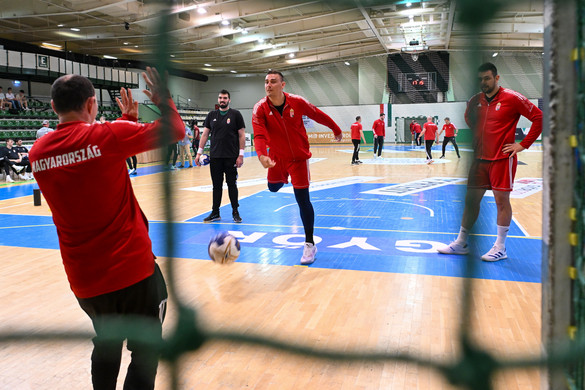 Litvánia ellen kezdődik az olimpiai felkészülés