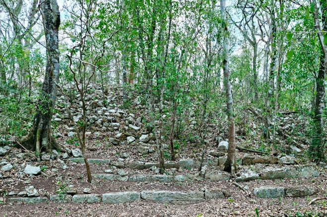 A régészek ősi maja várost fedeztek fel a dzsungelben