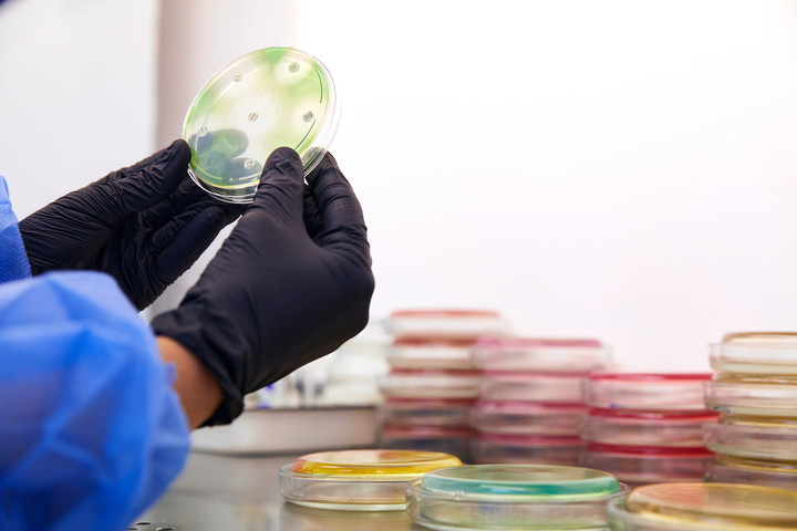 E. coli: öt tünet, amellyel mindenképp forduljon orvoshoz