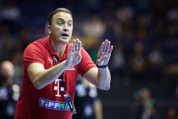 Momir Ilic távozott a Telekom Veszprém vezetőedzői posztjáról