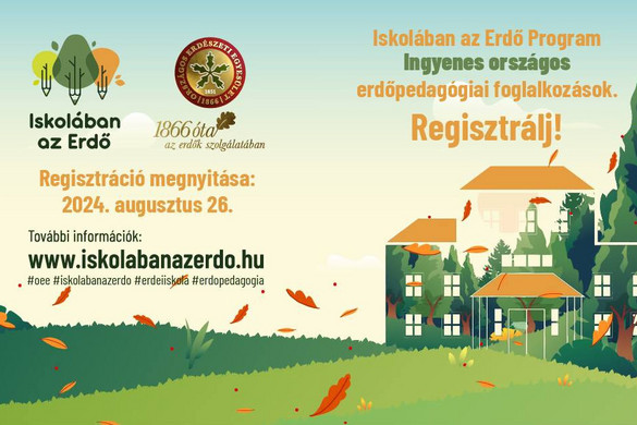 Az Iskolában az Erdő Program keretében 30 ezer gyermeknek tartottak foglalkozásokat