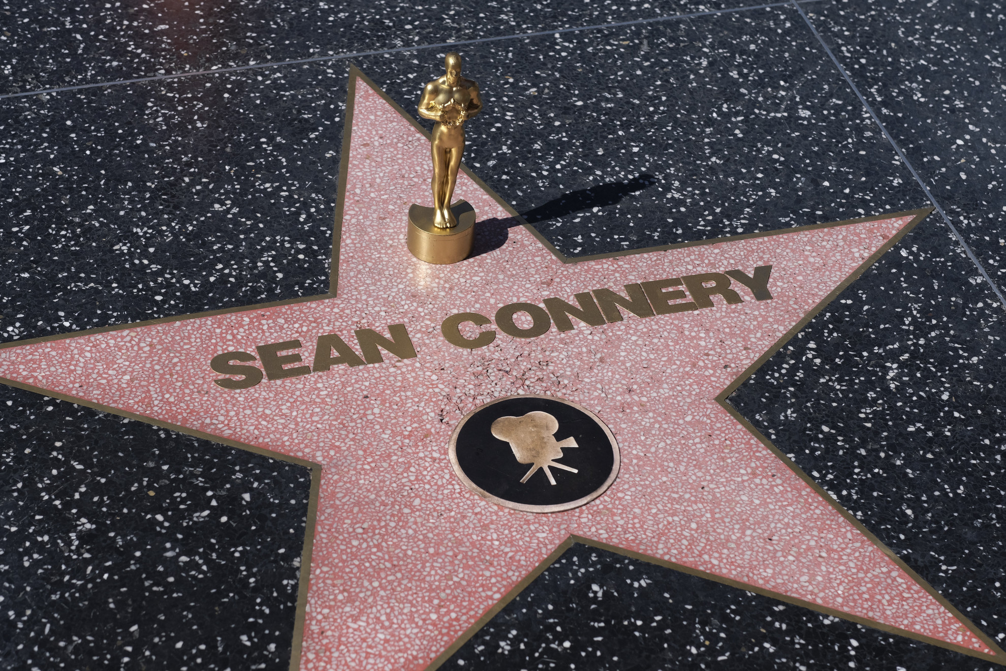Sean Connery a legjobb férfi mellékszereplőnek járó Oscar-díjat nyerte el az Aki legyőzte Al Caponét (1988) című filmben nyújtott alakításáért