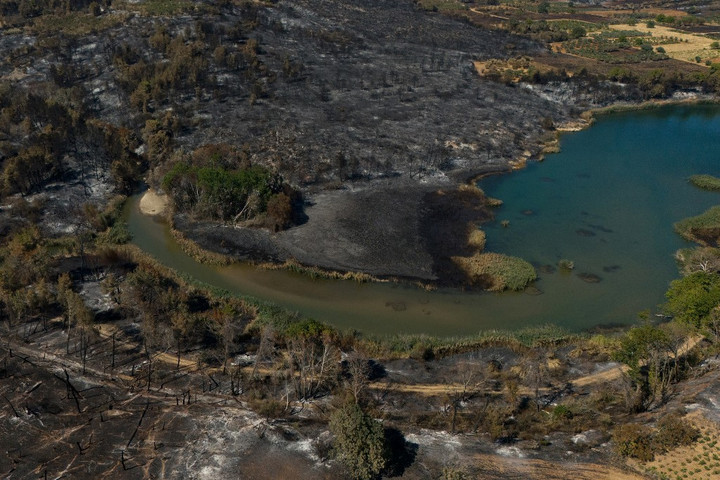 Fotó: AFP/Anadolu Agency/Costas Baltas Hibás kábel okozta a Görögországban pusztító erdőtüzet