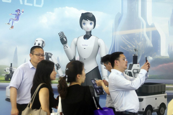 Szociális robotflottát építene az ELTE