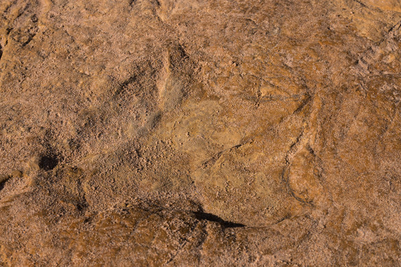 Repüljön át a világ leghosszabb összefüggő dinoszaurusznyomai felett + VIDEÓ
