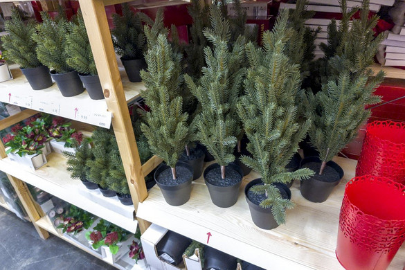 Nem csak tűzveszélyes, mérgező is a műfenyő