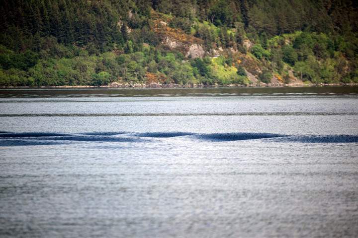 Fotó: AFP/Andy Buchanan A Loch Ness-i szörny felbukkant a Balatonban?