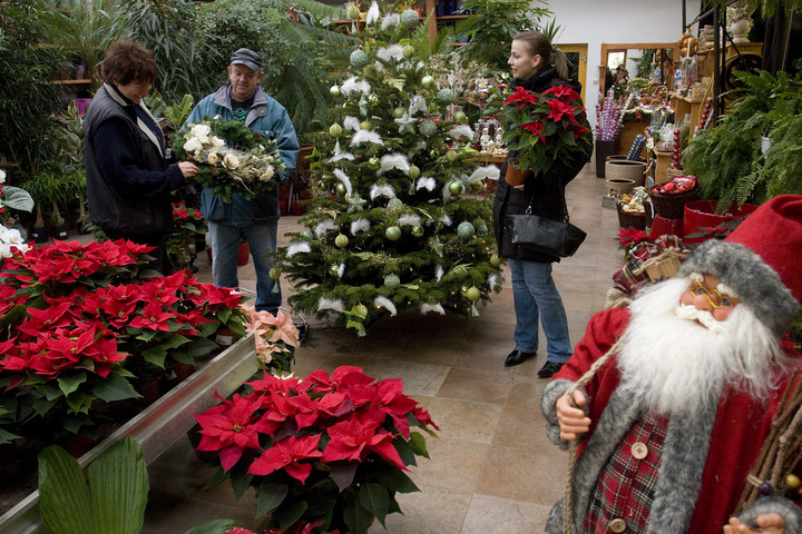 Egy pszichológus elmagyarázta, miért nem szabad túl korán feldíszíteni a karácsonyfát