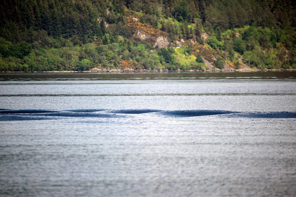 A Loch Ness-i szörny felbukkant a Balatonban?