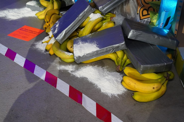 Fotó: AFP/DPA Picture-Alliance/DPA/Marcus Brandt Banánszállítmány közé rejtett, csaknem 3,5 tonna kokaint foglaltak le Portugáliában