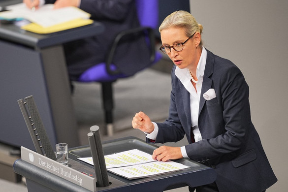Orbán–Weidel-találkozó előtt