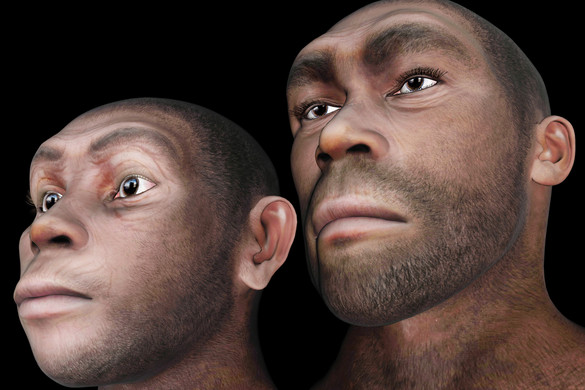Kiderül, mikor aludtunk először a neandervölgyiekkel